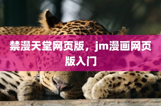 禁漫天堂网页版，jm漫画网页版入门