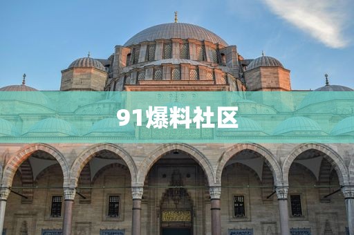 91爆料社区