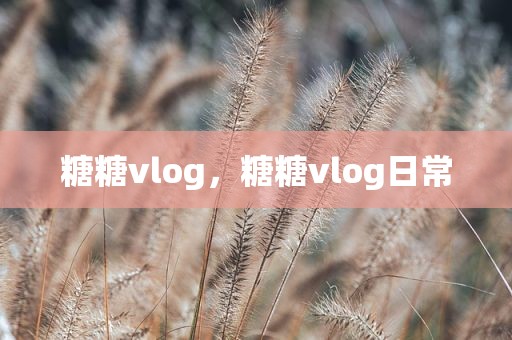 糖糖vlog，糖糖vlog日常