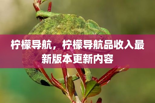 柠檬导航，柠檬导航品收入最新版本更新内容