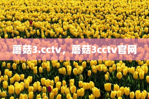 蘑菇3.cctv，蘑菇3cctv官网