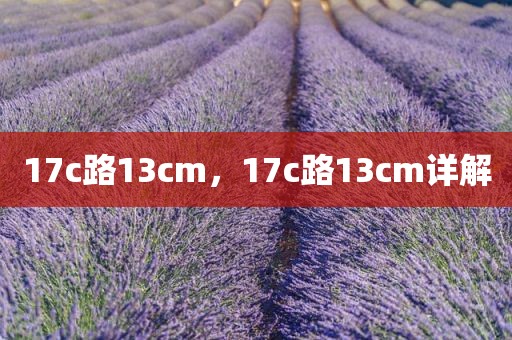 17c路13cm，17c路13cm详解