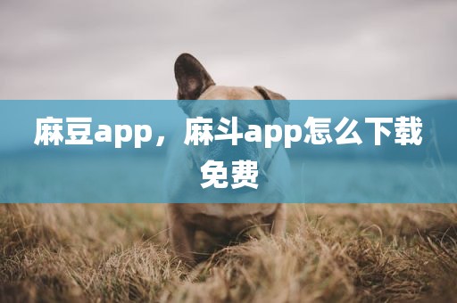 麻豆app，麻斗app怎么下载免费