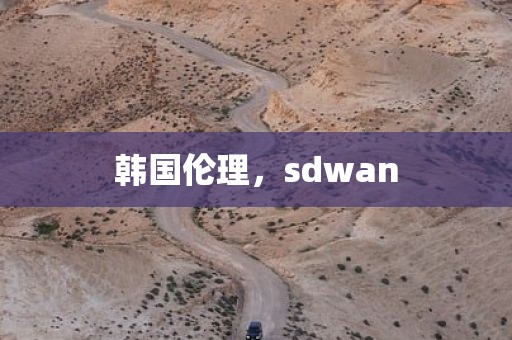 韩国伦理，sdwan