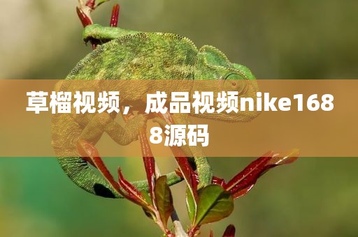 草榴视频，成品视频nike1688源码