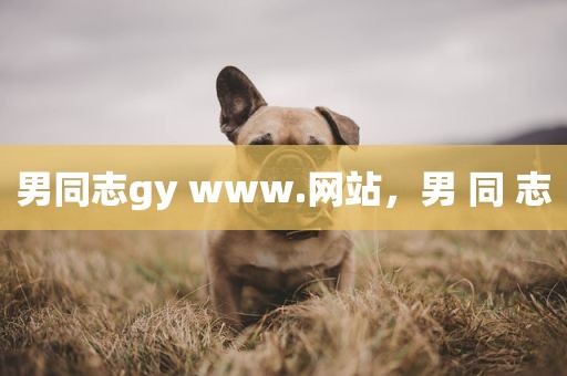 男同志gy www.网站，男 同 志