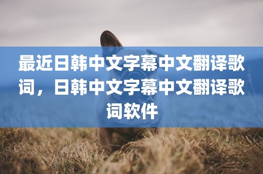 最近日韩中文字幕中文翻译歌词，日韩中文字幕中文翻译歌词软件