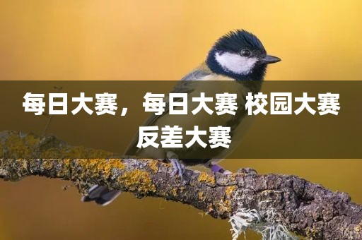 每日大赛，每日大赛 校园大赛 反差大赛