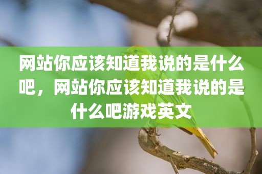 网站你应该知道我说的是什么吧，网站你应该知道我说的是什么吧游戏英文