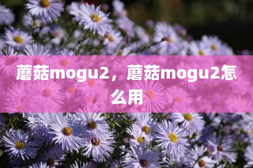 蘑菇mogu2，蘑菇mogu2怎么用