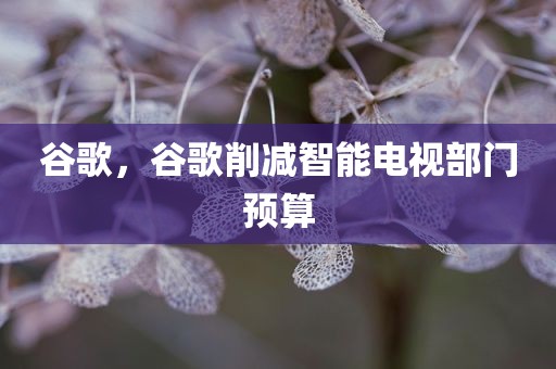 谷歌，谷歌削减智能电视部门预算