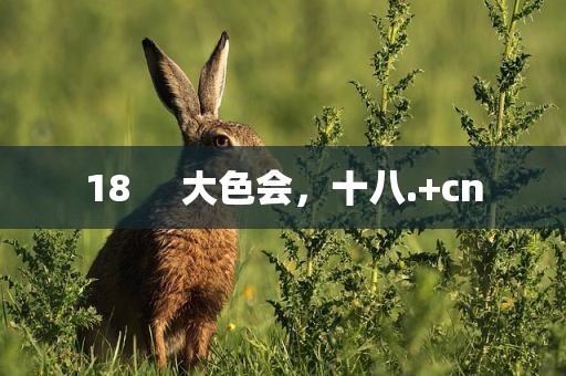 18     大色会，十八.+cn