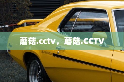 蘑菇.cctv，蘑菇.CCTV