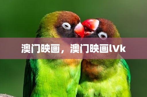 澳门映画，澳门映画lVk