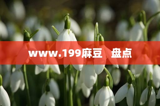 www.199麻豆   盘点