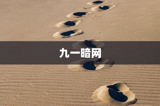 九一暗网