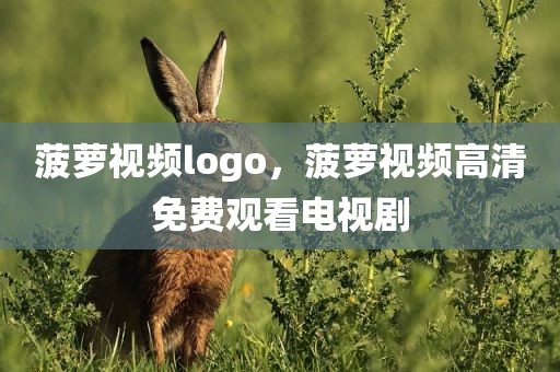 菠萝视频logo，菠萝视频高清免费观看电视剧