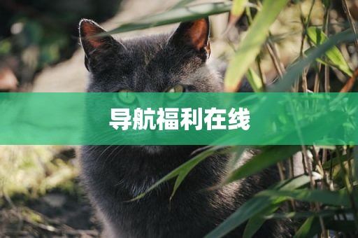 导航福利在线