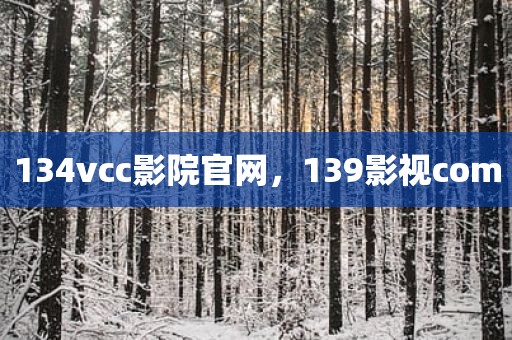134vcc影院官网，139影视com