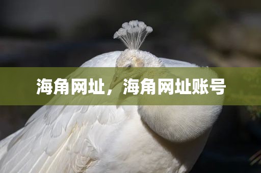 海角网址，海角网址账号