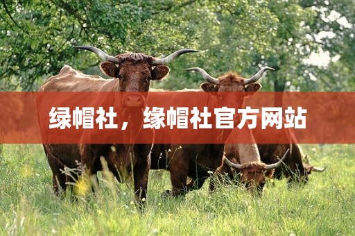绿帽社，缘帽社官方网站