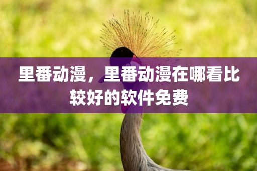 里番动漫，里番动漫在哪看比较好的软件免费