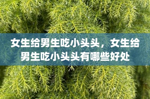 女生给男生吃小头头，女生给男生吃小头头有哪些好处