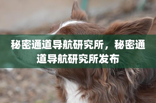 秘密通道导航研究所，秘密通道导航研究所发布