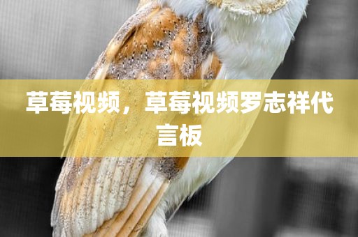 草莓视频，草莓视频罗志祥代言板