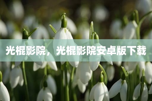 光棍影院，光棍影院安卓版下载