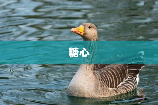 糖心