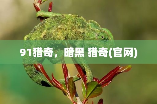 91猎奇，暗黑 猎奇(官网)