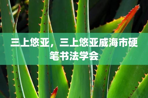 三上悠亚，三上悠亚威海市硬笔书法学会