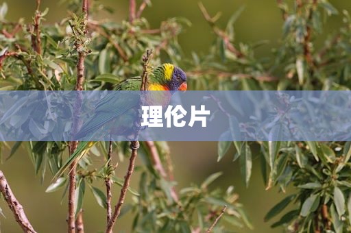理伦片