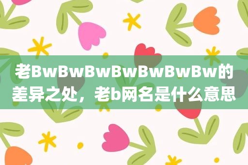 老BwBwBwBwBwBwBw的差异之处，老b网名是什么意思