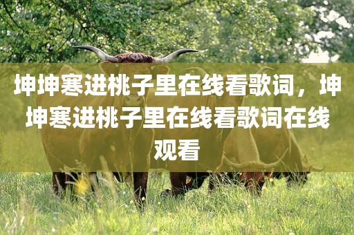 坤坤寒进桃子里在线看歌词，坤坤寒进桃子里在线看歌词在线观看