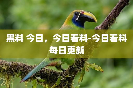 黑料 今日，今日看料-今日看料每日更新