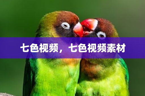 七色视频，七色视频素材