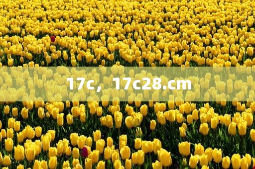 17c，17c28.cm