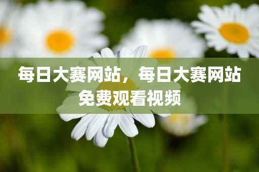 每日大赛网站，每日大赛网站免费观看视频