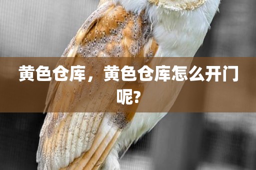 黄色仓库，黄色仓库怎么开门呢?