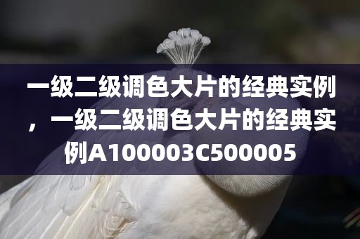一级二级调色大片的经典实例，一级二级调色大片的经典实例A100003C500005