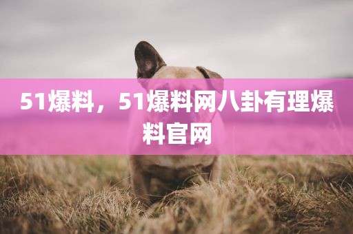 51爆料，51爆料网八卦有理爆料官网
