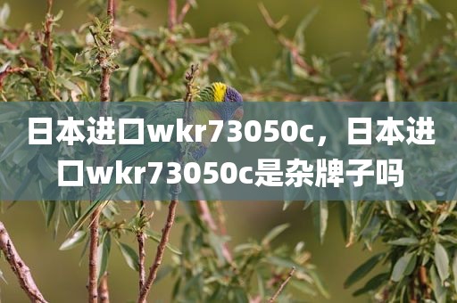 日本进口wkr73050c，日本进口wkr73050c是杂牌子吗