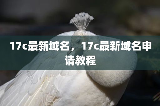 17c最新域名，17c最新域名申请教程