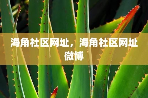 海角社区网址，海角社区网址微博