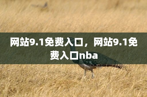 网站9.1免费入口，网站9.1免费入口nba