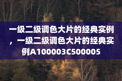 一级二级调色大片的经典实例，一级二级调色大片的经典实例A100003C500005