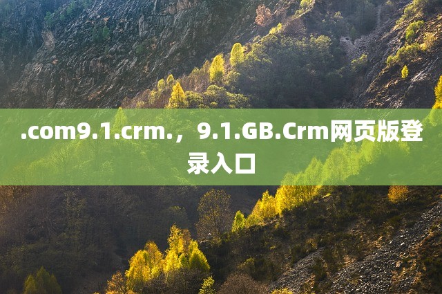 .com9.1.crm.，9.1.GB.Crm网页版登录入口