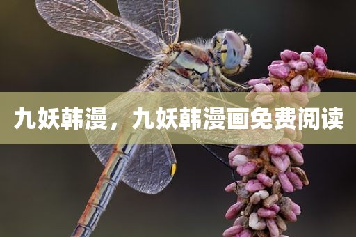 九妖韩漫，九妖韩漫画免费阅读